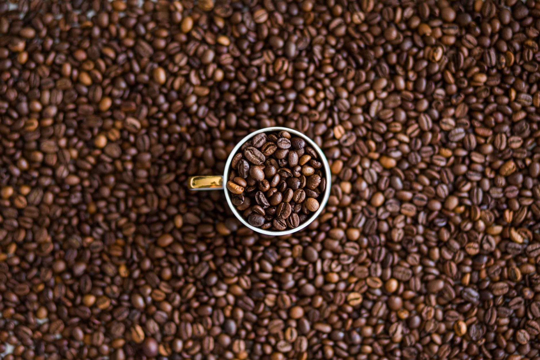 Illustration for: Why Does My Coffee Taste Bitter? Causes and Fixes for 2026
