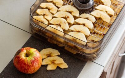 What Determines How Long a Food Dehydrator Takes