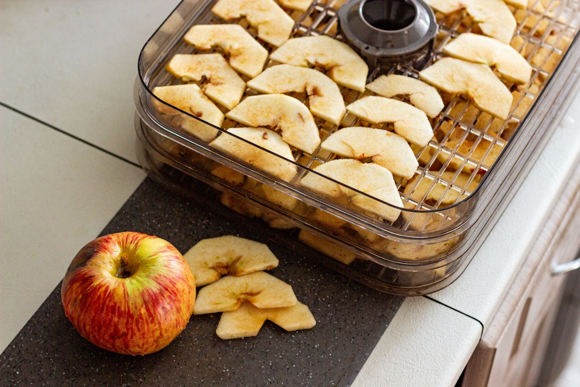 Illustration for: How Long Does a Food Dehydrator Take? Factors That Affect Drying Time