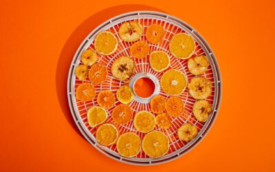 How Much Electricity Does a Food Dehydrator Use?