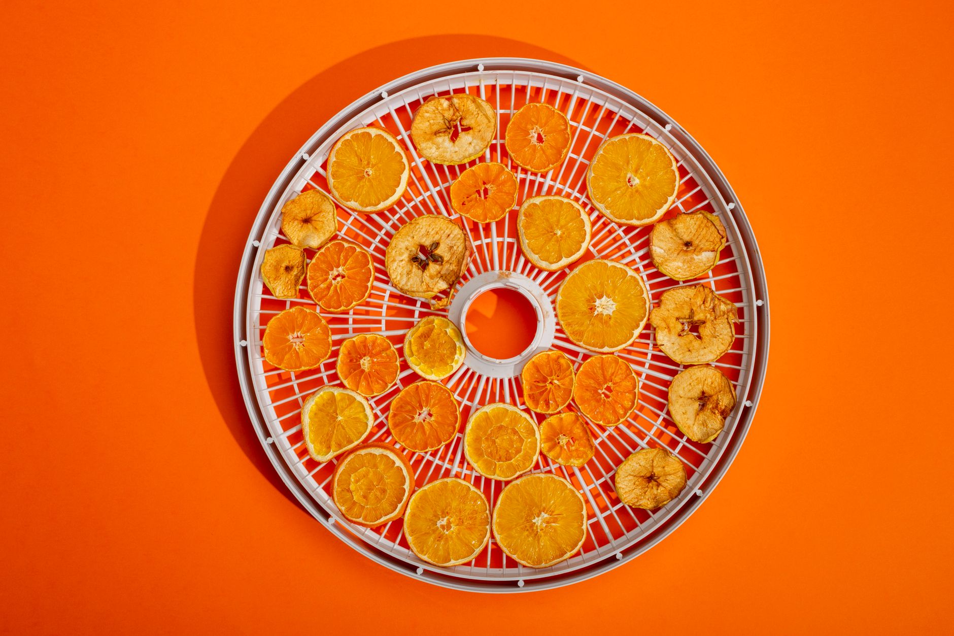 Illustration for: How Much Electricity Does a Food Dehydrator Use? A Complete Guide for 2026