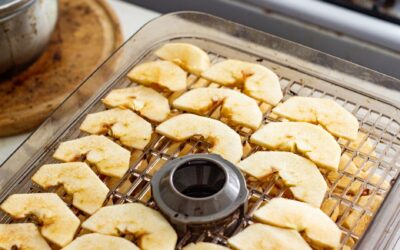 Can You Leave a Food Dehydrator On Overnight?